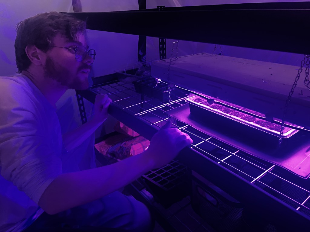 Starting Eucalyptus from&nbsp;Seed